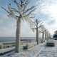 Illustration for article titled These alien-looking ice sculptures formed all on their own